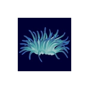 Glow Sea Anemone